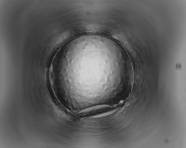 X0000097990066200804021018