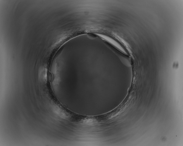 X0000097990067200804021018