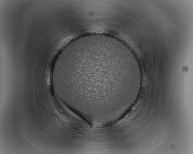 X0000097990068200804021018