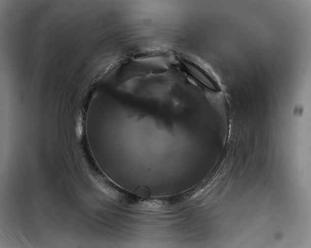 X0000097990069200804021018