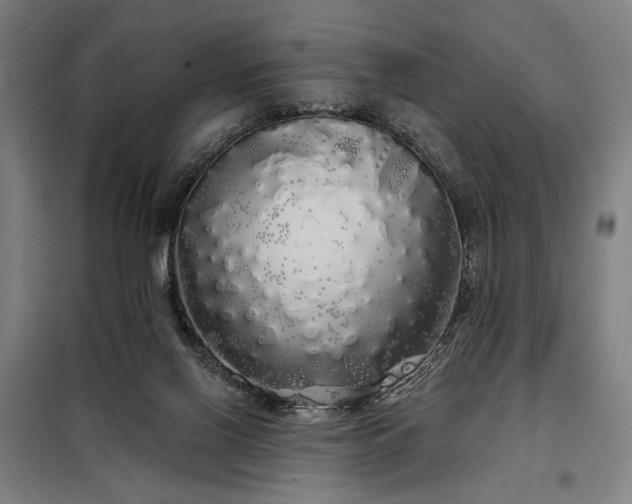 X0000097990070200804021018