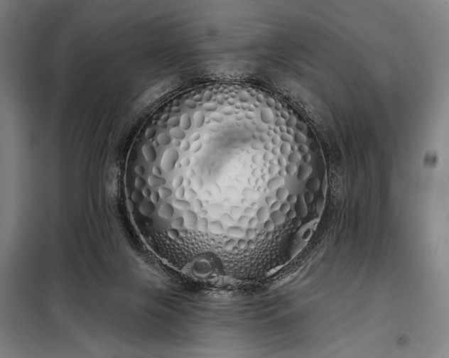 X0000097990071200804021018