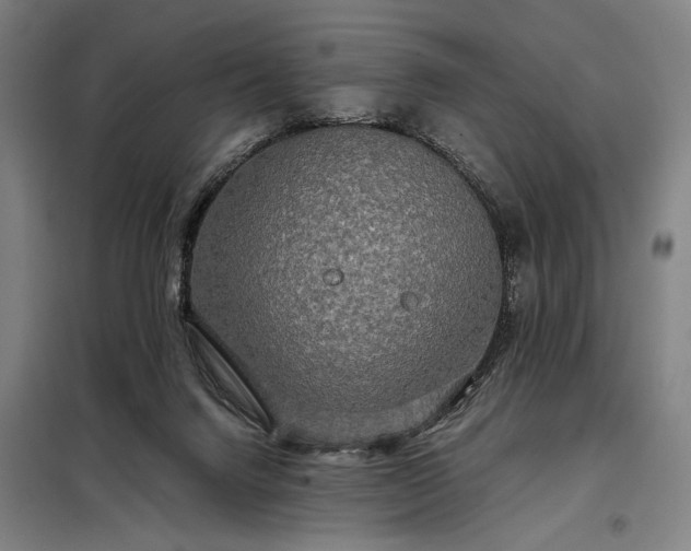 X0000097990072200804021018
