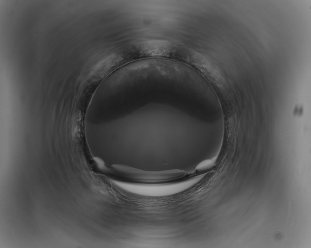 X0000097990073200804021018