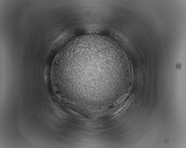 X0000097990074200804021018