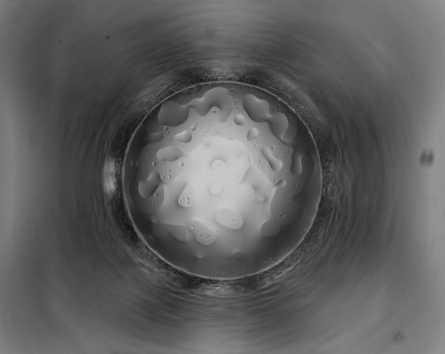 X0000097990075200804021018