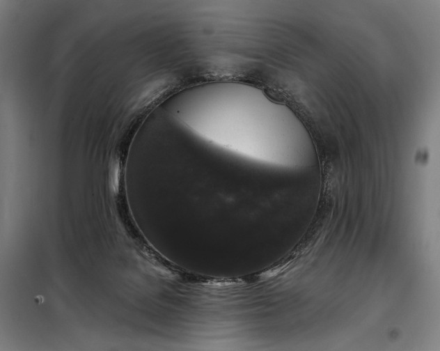 X0000097990076200804021018