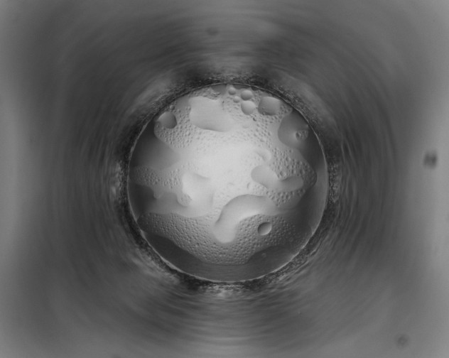 X0000097990077200804021018