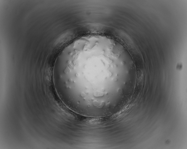 X0000097990078200804021018