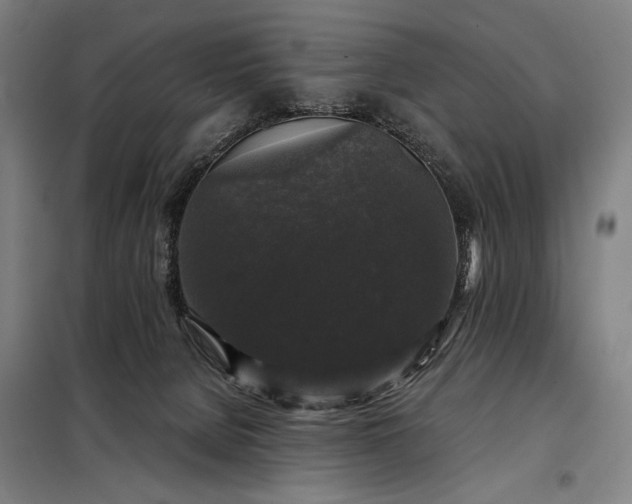 X0000097990080200804021018