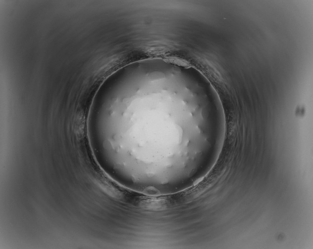 X0000097990081200804021018