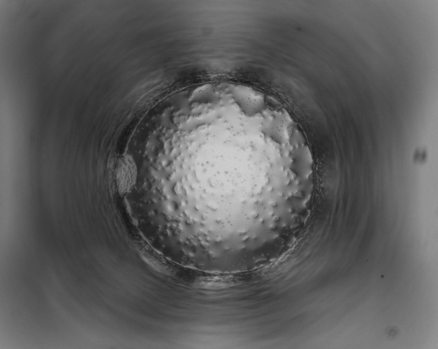 X0000097990082200804021018