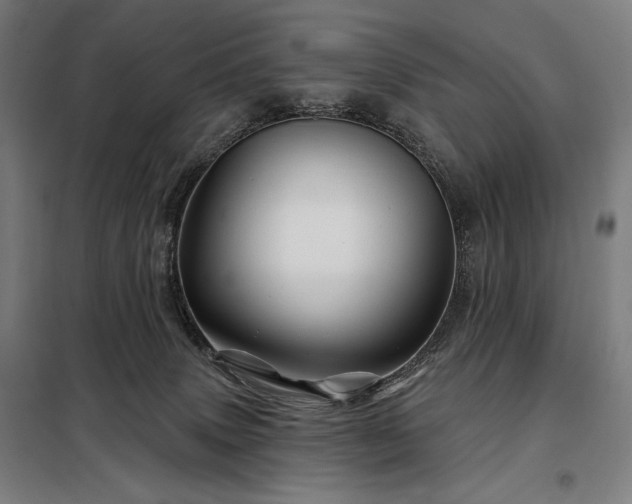 X0000097990083200804021018