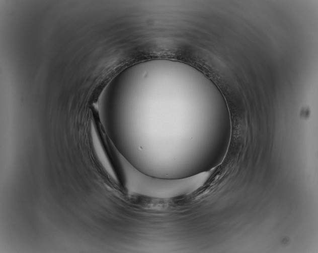X0000097990084200804021018