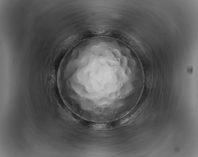 X0000097990085200804021018