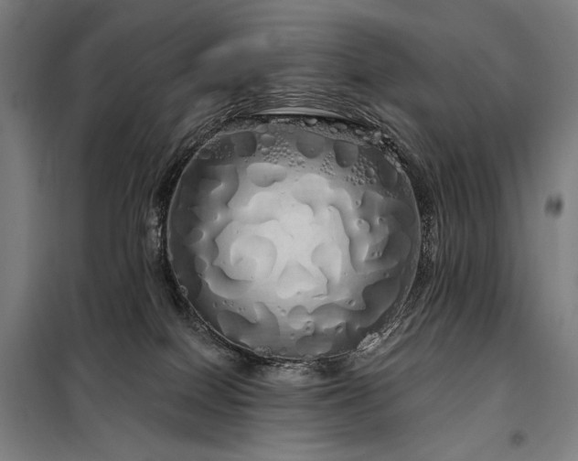 X0000097990086200804021018