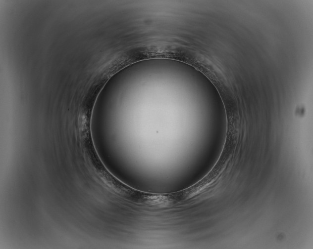 X0000097990087200804021018