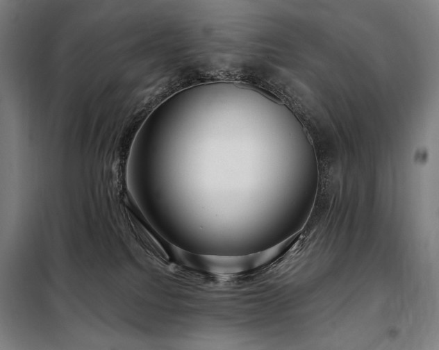 X0000097990088200804021018