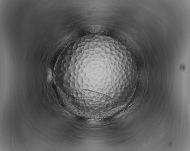 X0000097990089200804021018