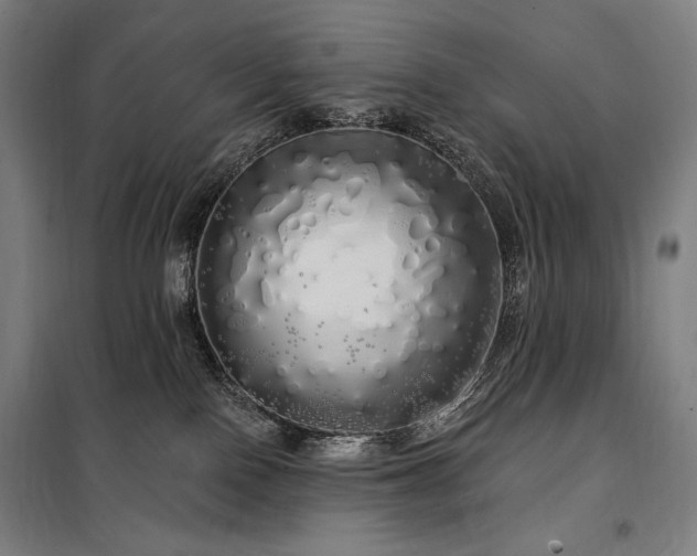 X0000097990090200804021018