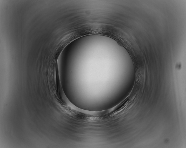 X0000097990092200804021018