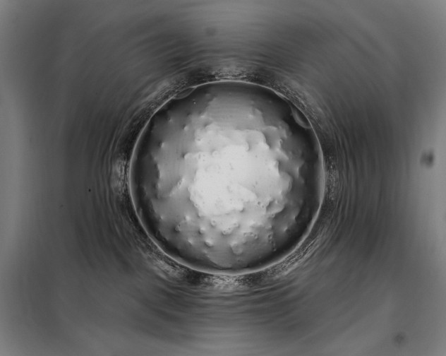 X0000097990093200804021018