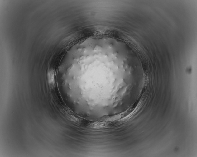 X0000097990094200804021018