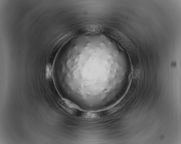 X0000097990095200804021018