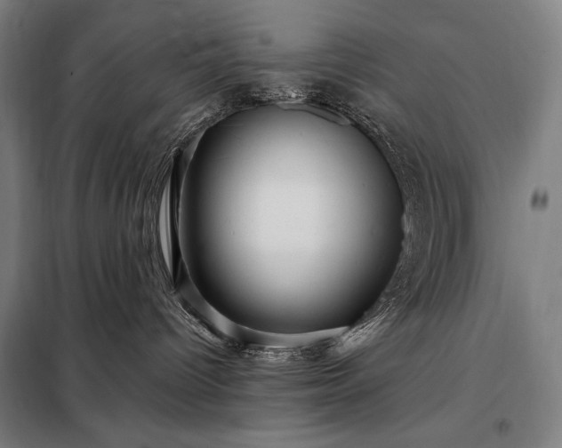 X0000097990096200804021018
