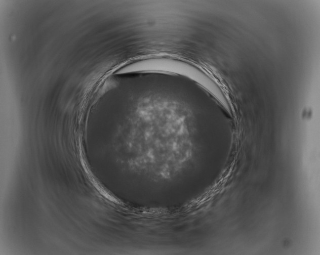 X0000097990097200804021017