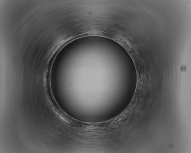X0000097990098200804021017