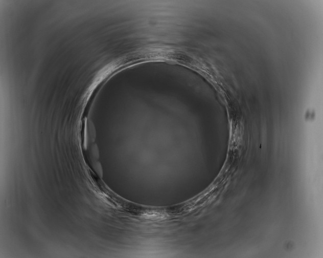X0000097990099200804021017
