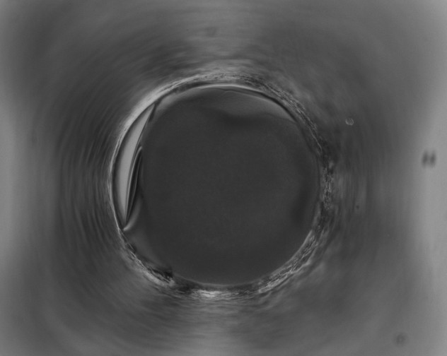 X0000097990100200804021017