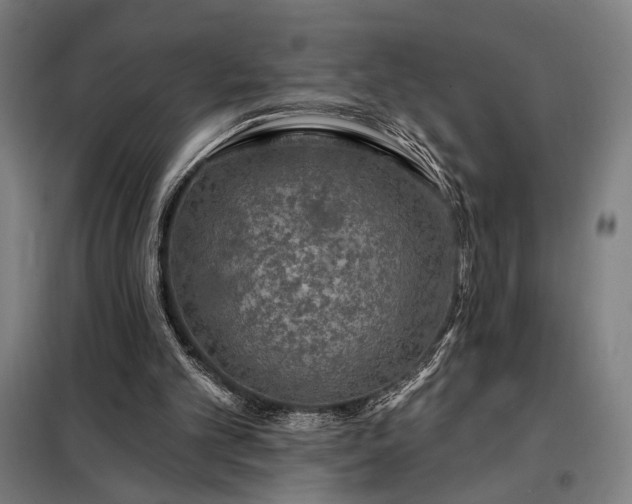 X0000097990101200804021017
