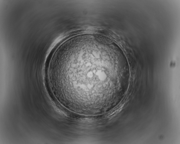 X0000097990102200804021017