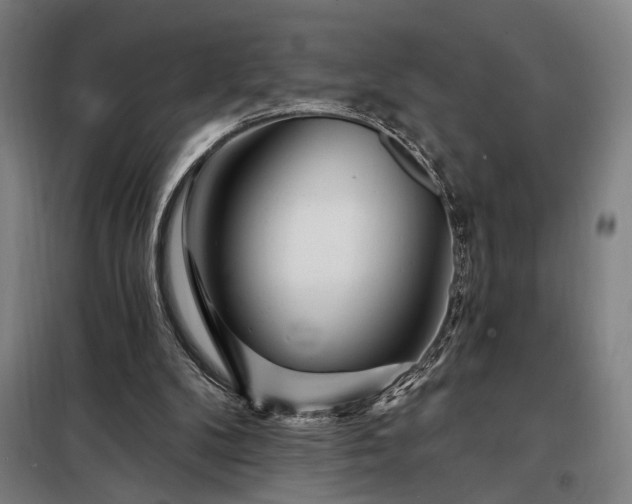 X0000097990104200804021017