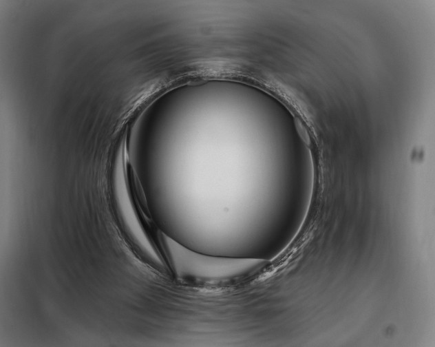 X0000097990105200804021017