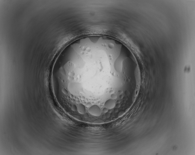 X0000097990107200804021017