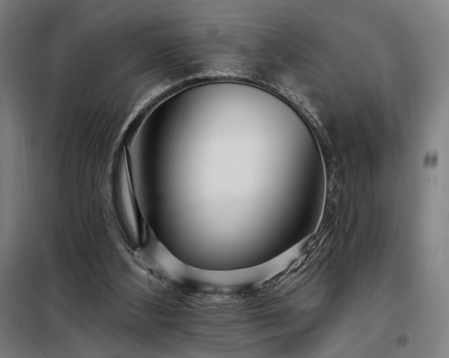 X0000097990108200804021017