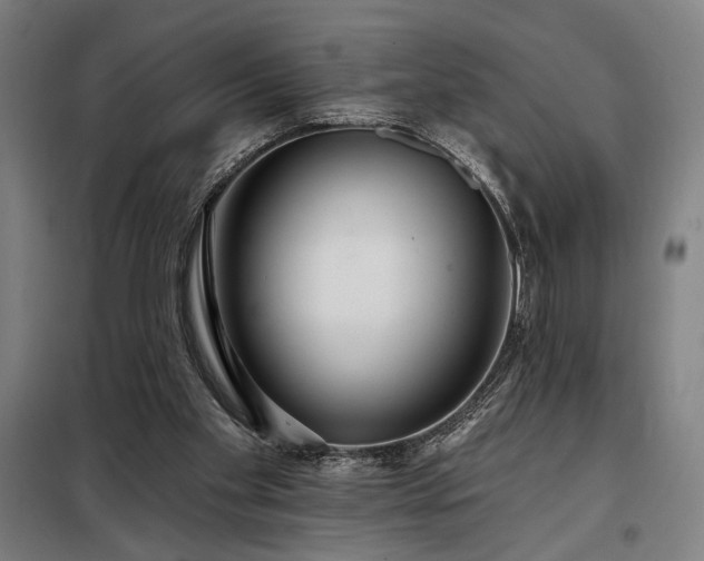X0000097990109200804021017