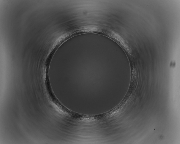 X0000097990110200804021017