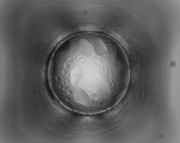 X0000097990111200804021017