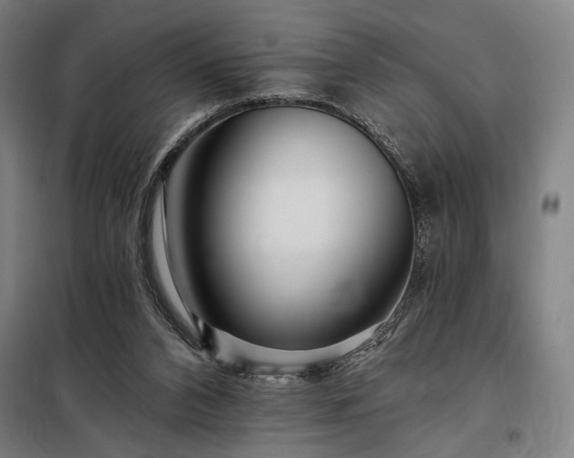 X0000097990112200804021017