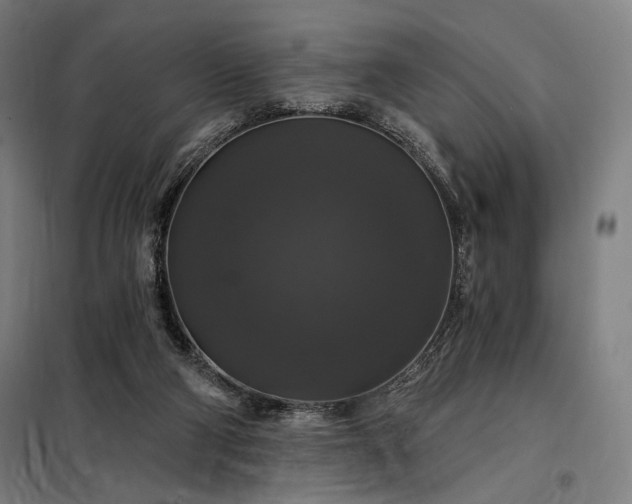 X0000097990114200804021017