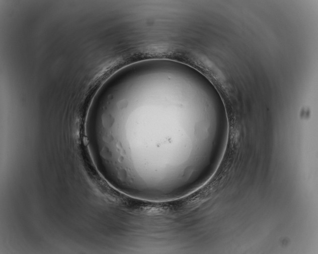 X0000097990115200804021017
