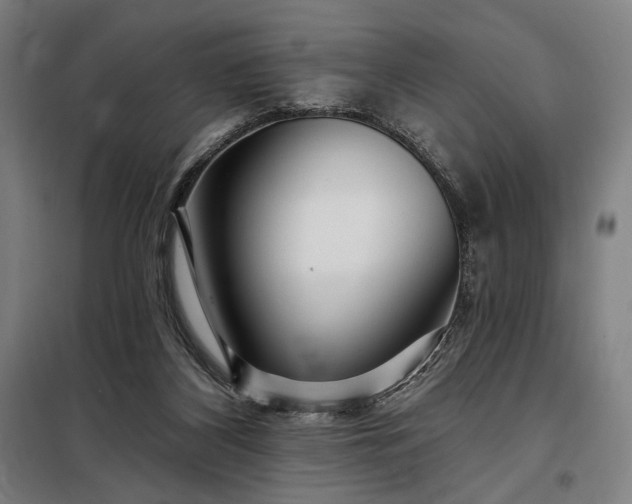 X0000097990116200804021017