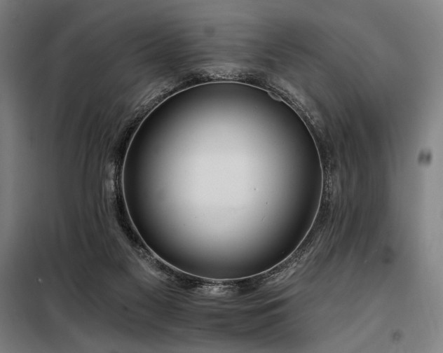 X0000097990117200804021017