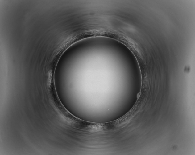 X0000097990118200804021017