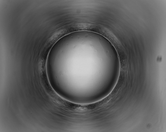 X0000097990119200804021017