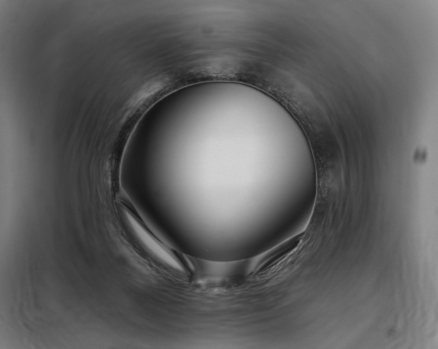 X0000097990120200804021017